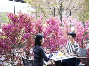 03 食事風景イメージ