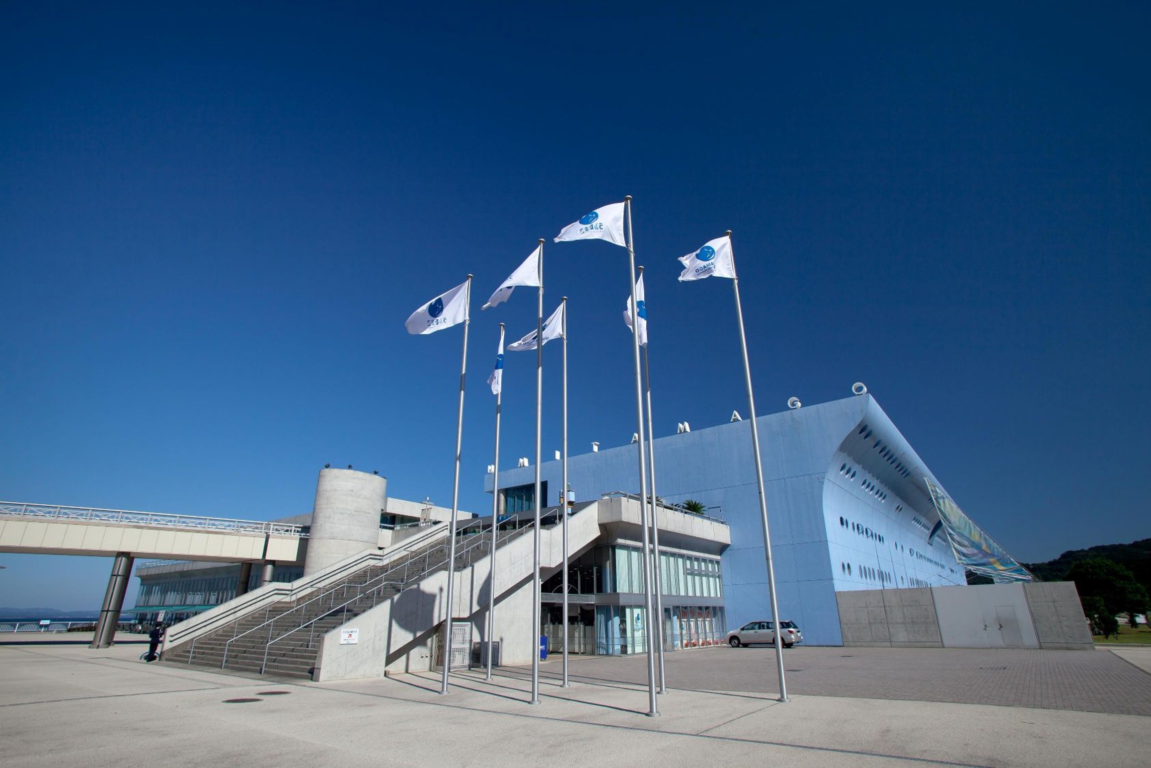 うみたまご満喫プラン登場！